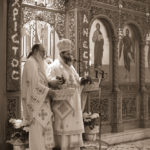 dsc_0174_33203468644_o